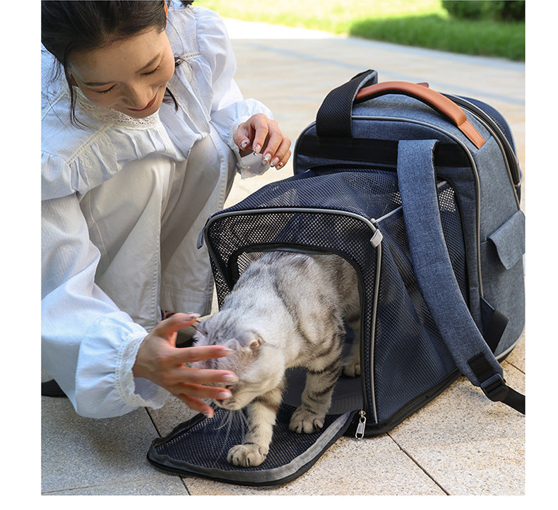 woman interacting with cat inside expanded mesh section of pet travel backpack outdoors