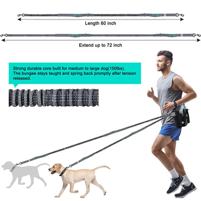 black fanlosn dog walking set,custom,model display 02