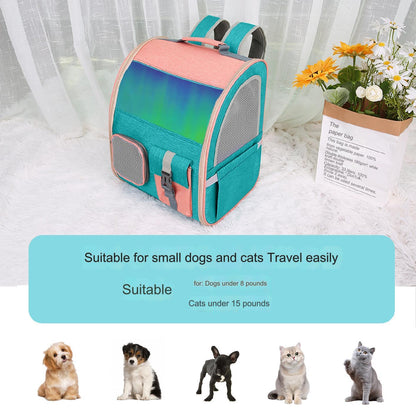dazzling blue cationic pet backpack,lifestyle