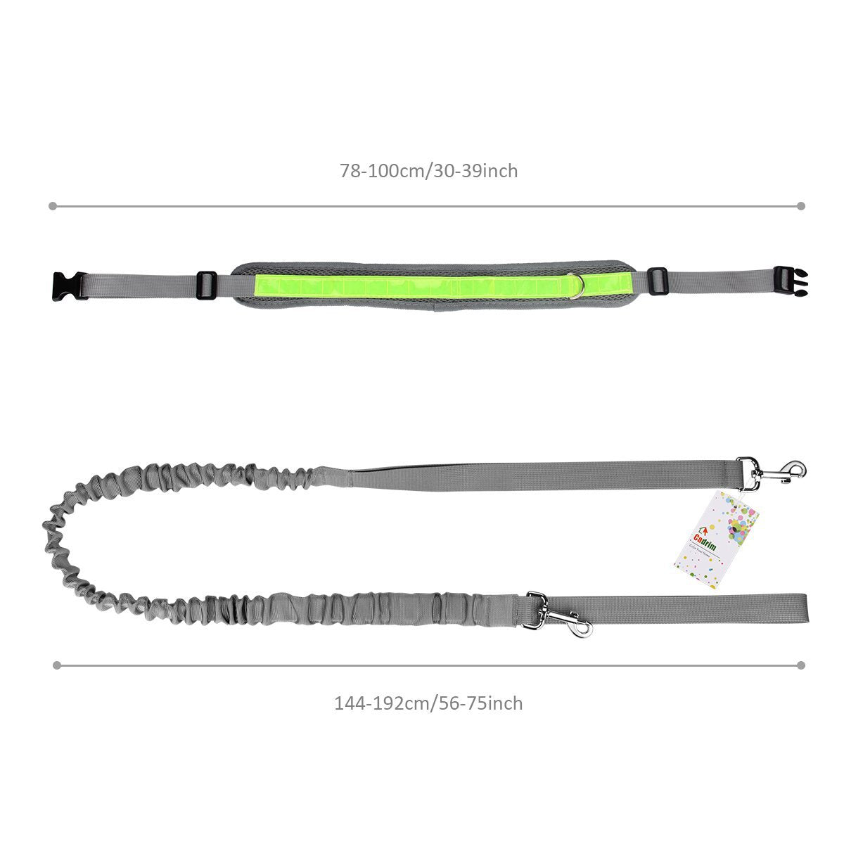 gray fanlosn pet running kit,custom,dimensions