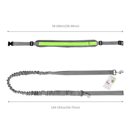 gray fanlosn pet running kit,custom,dimensions