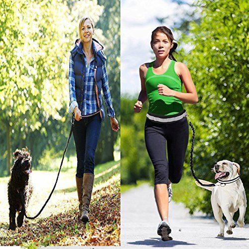 gray fanlosn pet running kit,custom,model display 02