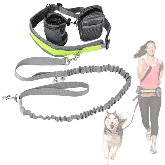 Customized New Product Pet Outing Training Waist Bag Outdoor Running Fitness Dog Walking Hand Holding Rope Pet Waist Bag