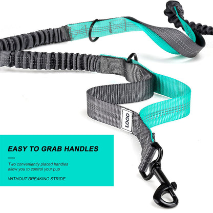 black fanlosn dog walking leash,custom,front